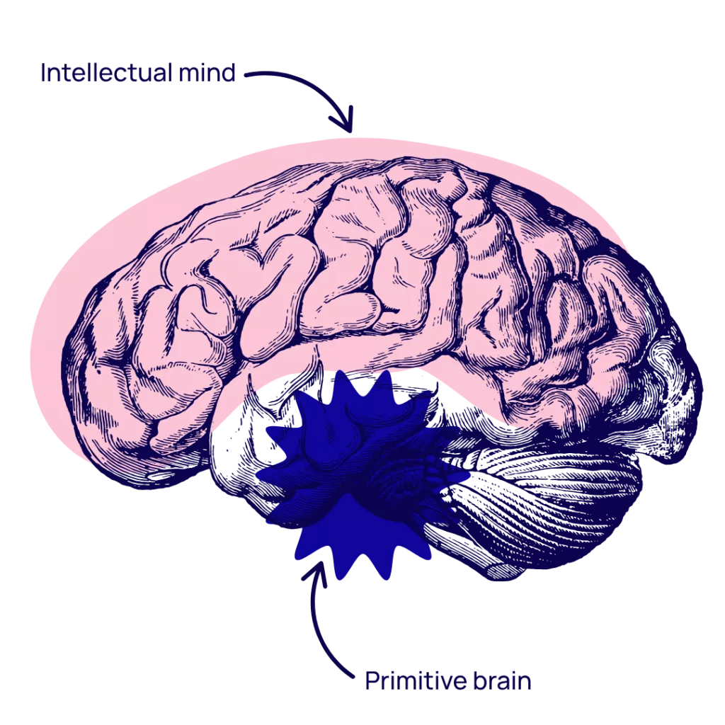 Illustration of the brain for 10 Hypnotherapy