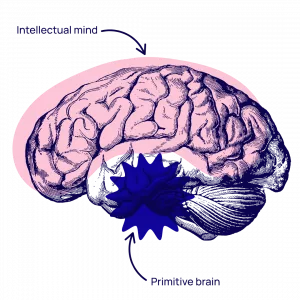 Illustration of the brain for 10 Hypnotherapy